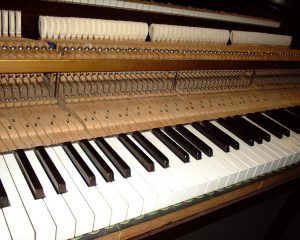 Bluthner 'patent' piano Action
